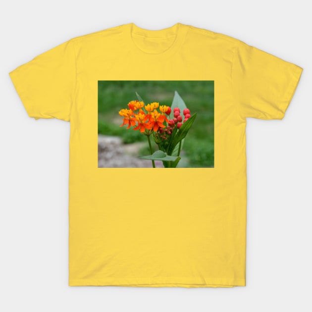 Wildfowers T-Shirt by Rob Johnson Photography